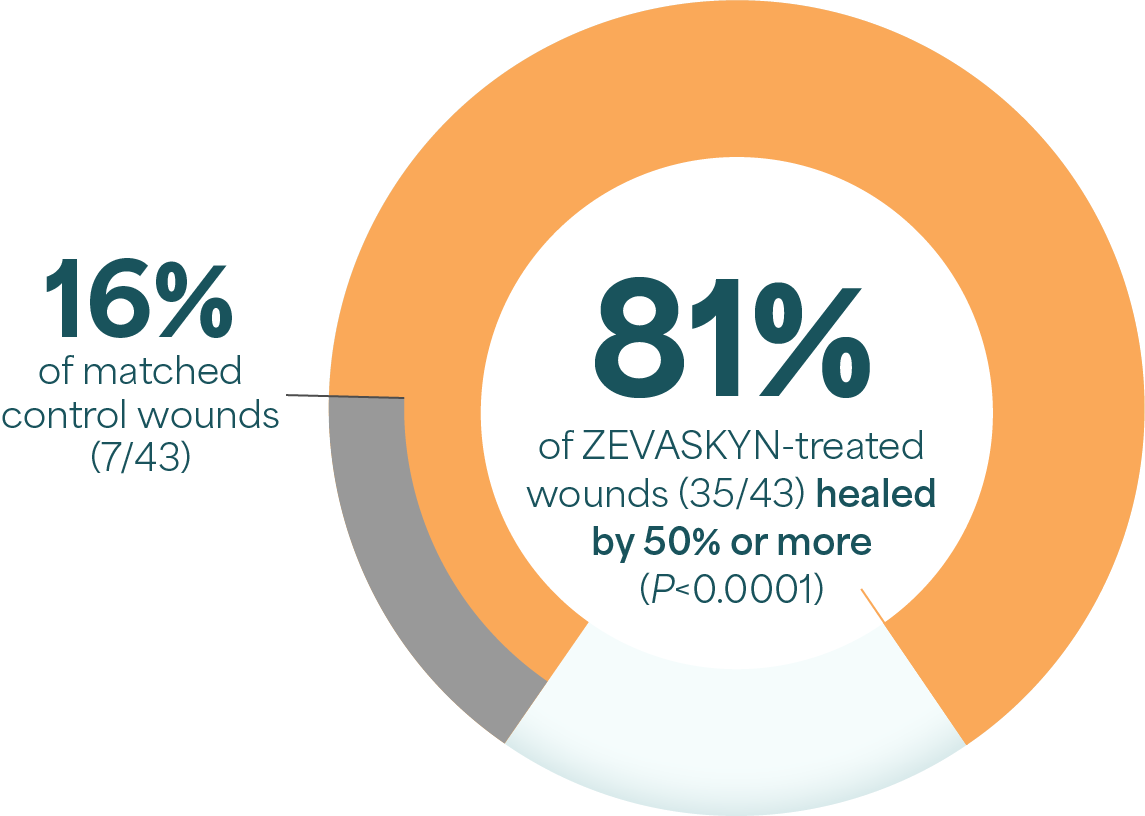 Pie chart highlighting that ZEVASKYN achieved significant healing at week 24