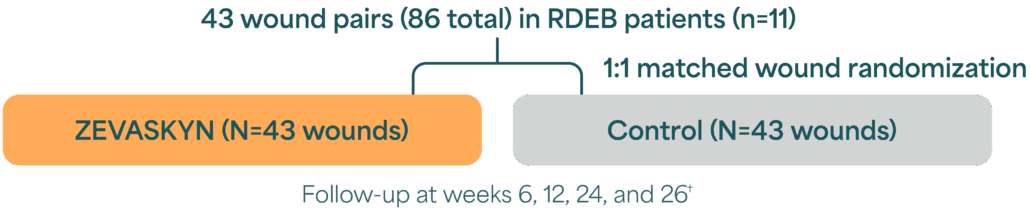 Graph highlighting the design of the VIITAL Phase 3 study