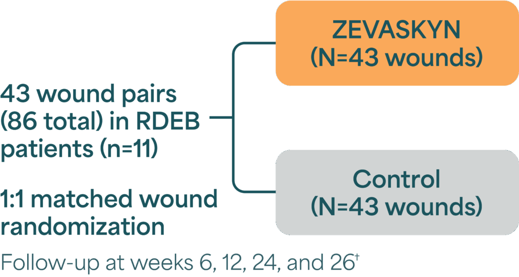 Graph highlighting the design of the VIITAL Phase 3 study